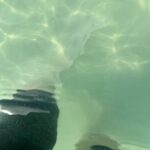 Underwater adventure